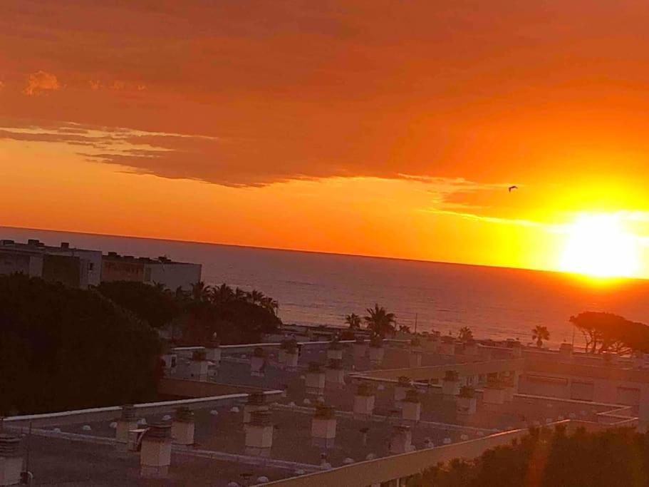 Appartement Vue Mer Au Lavandou ル・ラヴァンドゥー エクステリア 写真