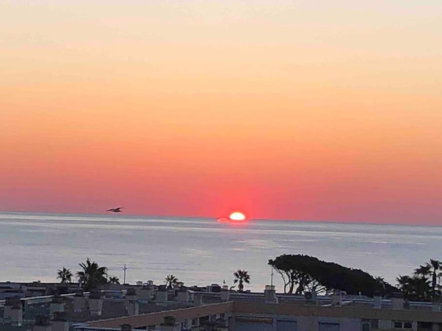Appartement Vue Mer Au Lavandou ル・ラヴァンドゥー エクステリア 写真